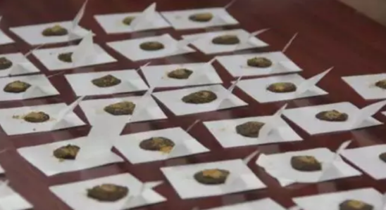 我“艾”我健康，三九天灸即将开贴，温阳驱寒正当时