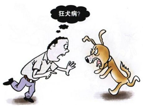 春季谨防狂犬病