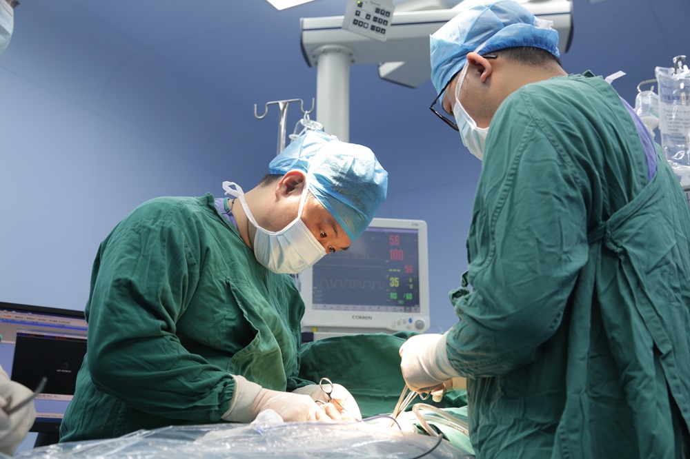 警惕 | 胆囊结石居然跟这种寄生虫感染有关